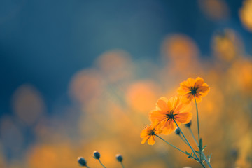 什么是召回-为什么要召回,近几年关于汽车召回的典型事件