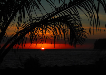 国产车标志有哪些？