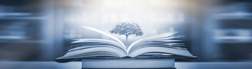 3款国产顶级跑车！