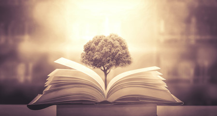 2023年值得买车的三个月份