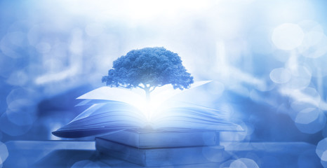 2万左右买什么车好？