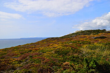 乒乓球旋球怎么接和发？