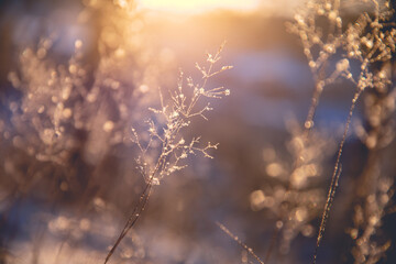 国产汽车到底好不好