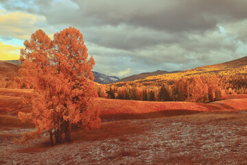 2023年值得买车的三个月份