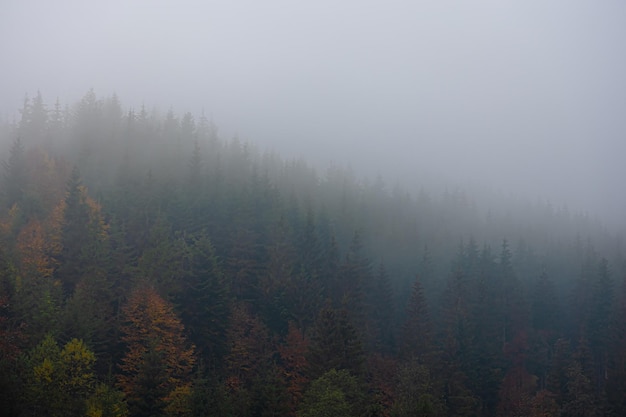 3款国产顶级跑车！