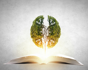 2023年值得买车的三个月份