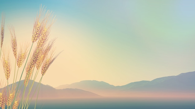 3款国产顶级跑车！