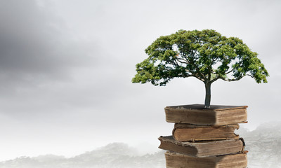 汽车有哪些保养是不用做的？