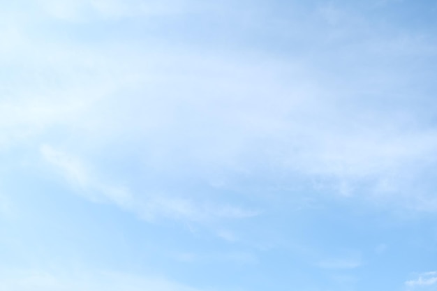 国产车可以买的车型