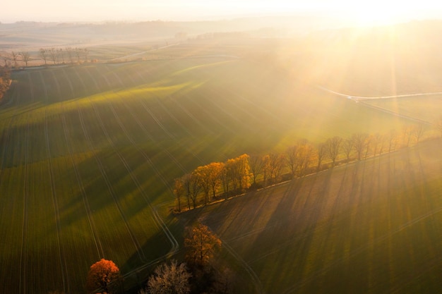 国产车标志有哪些？