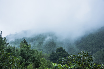 国产车标志有哪些？
